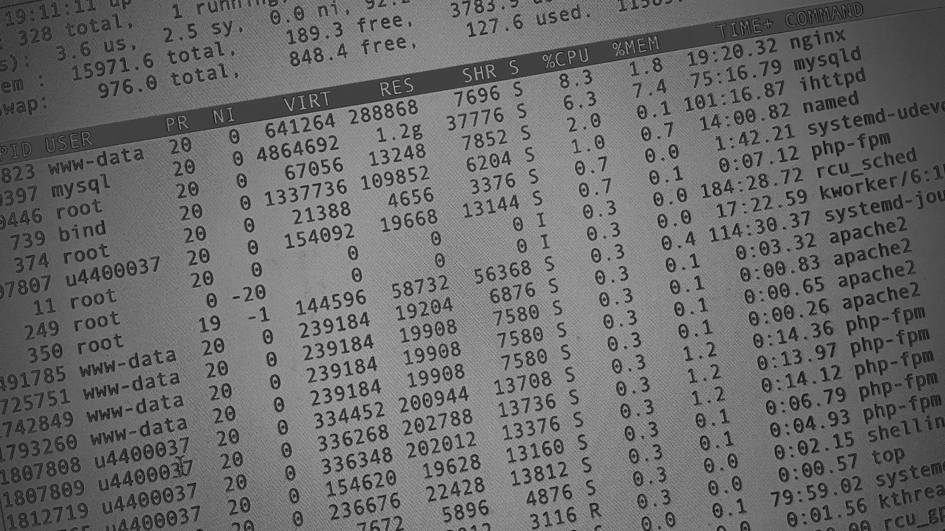 Настройка сервера в Тосно Настройка сервера в Тосно